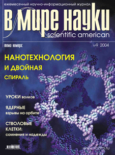 В мире науки. Выпуск №9 за сентябрь 2004 года.