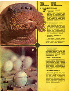 Техника - молодежи. Выпуск №11 за ноябрь 1975 года.